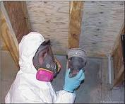 Mold Remediation