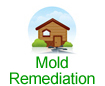 MOLD REMEDIATION