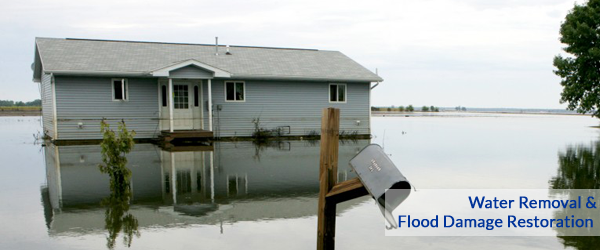 flood restoration oakland county