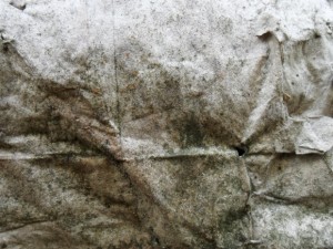 Mold Remediation Lansing Michigan